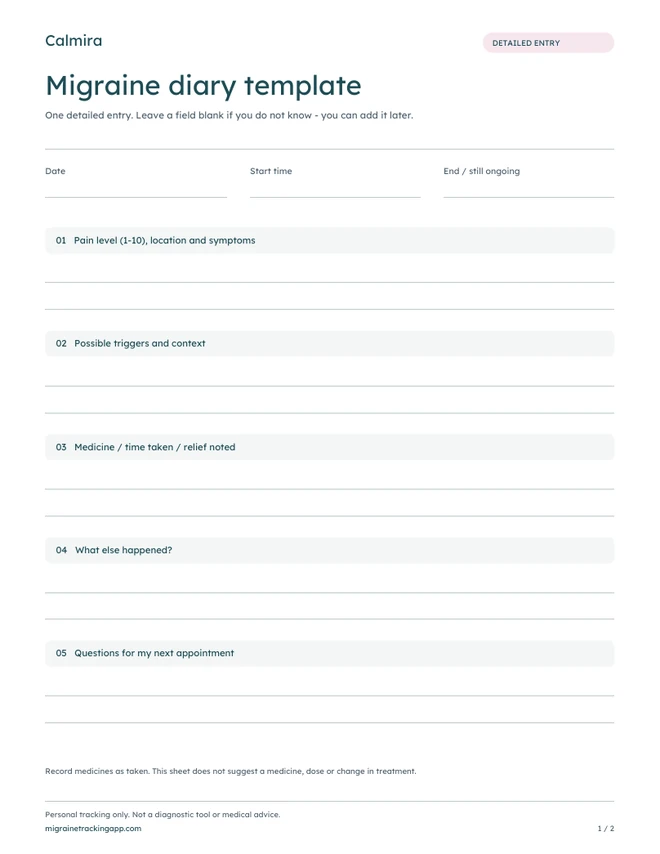 Preview of the detailed migraine diary template